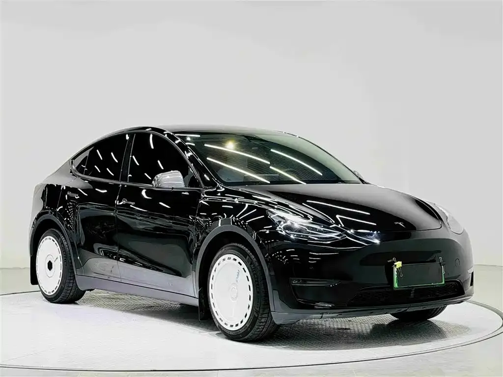 Tesla Model Y 2021 из CN, фото 5