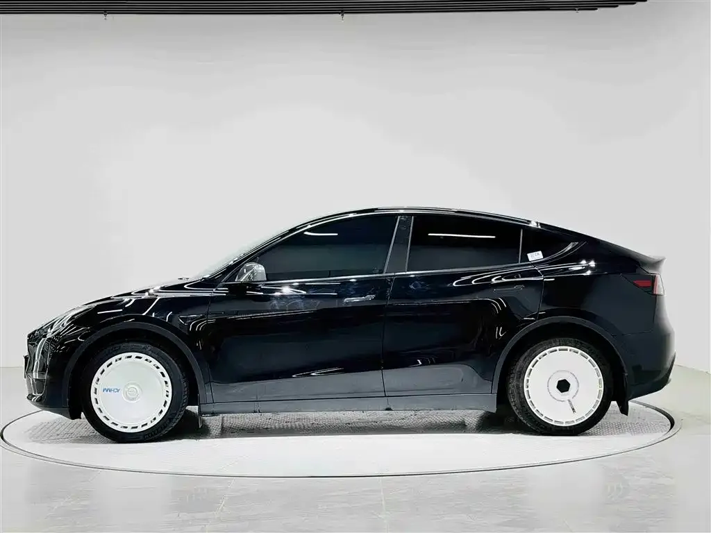 Tesla Model Y 2021 из CN, фото 6