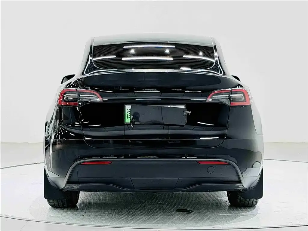 Tesla Model Y 2021 из CN, фото 8