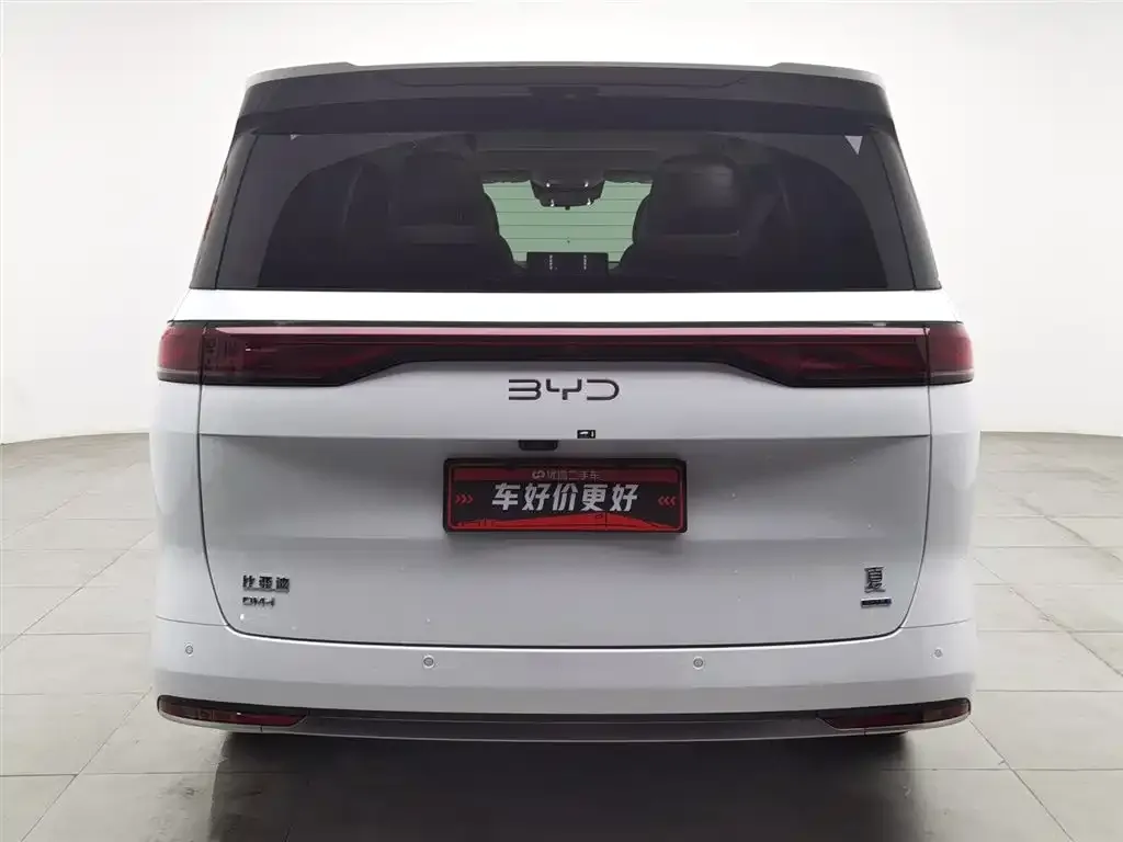 BYD Xia 2025 из CN, фото 3