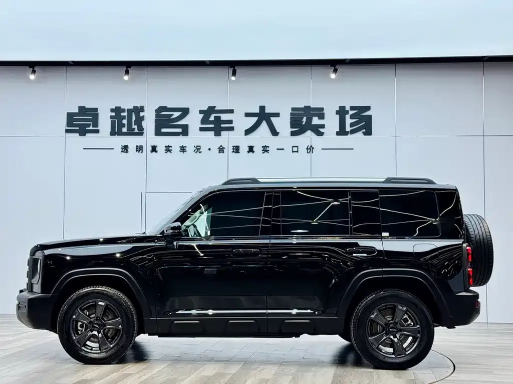 Haval Menglong New Energy — фото 2