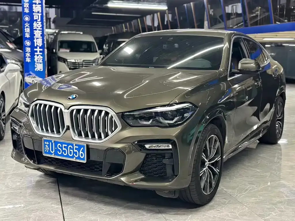 BMW X6