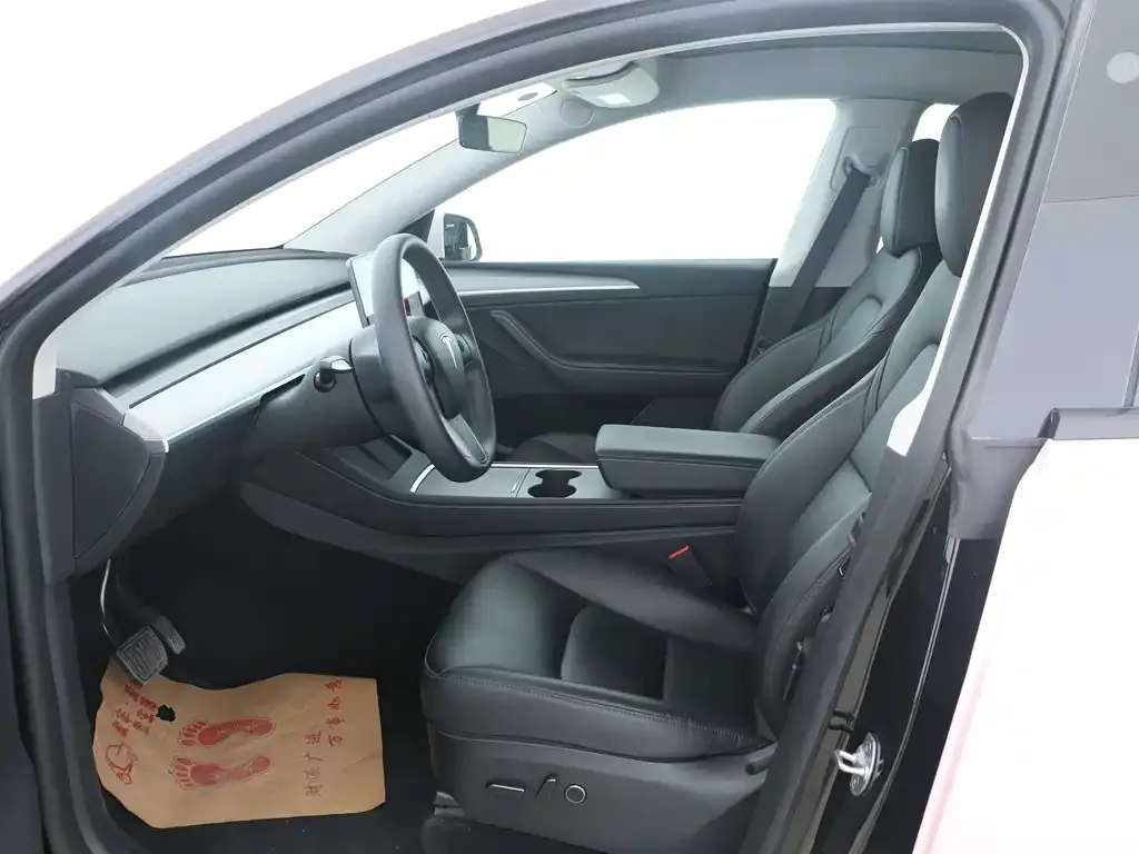 Tesla Model Y 2024 из CN, фото 9