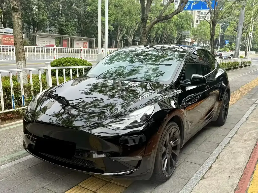 Tesla Model Y 2021 из CN, фото 1