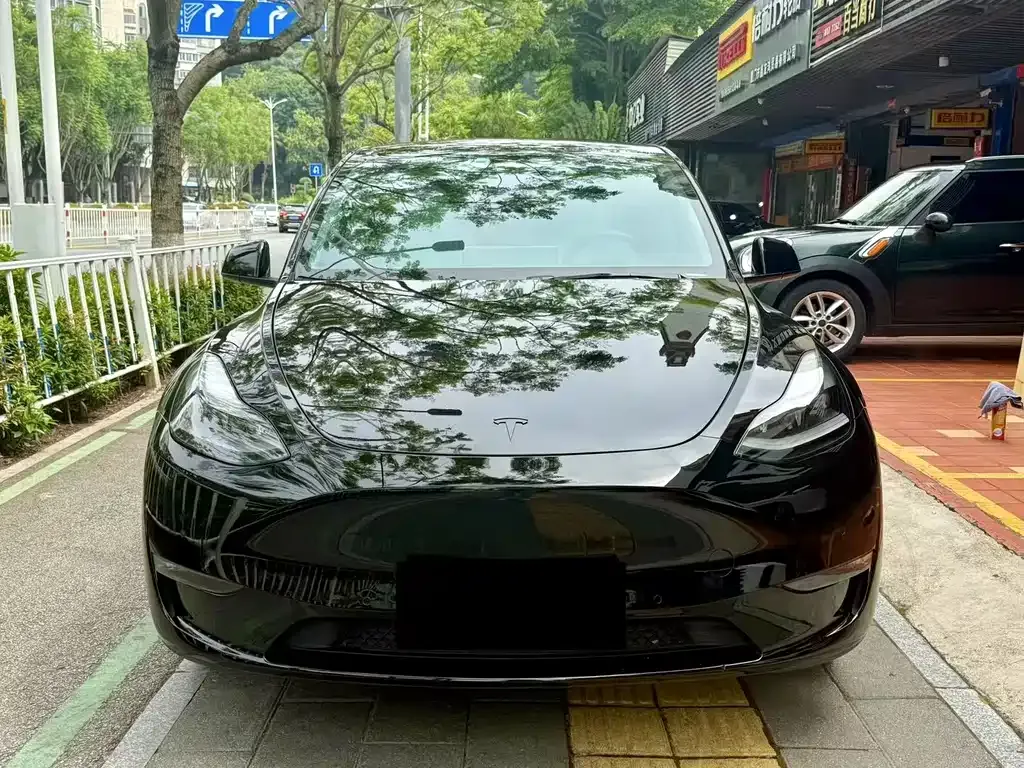 Tesla Model Y 2021 из CN, фото 2