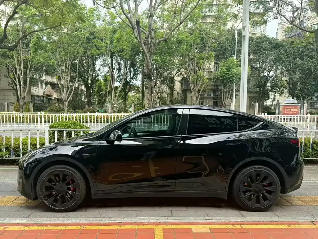 Tesla Model Y 2021 из CN, фото 9