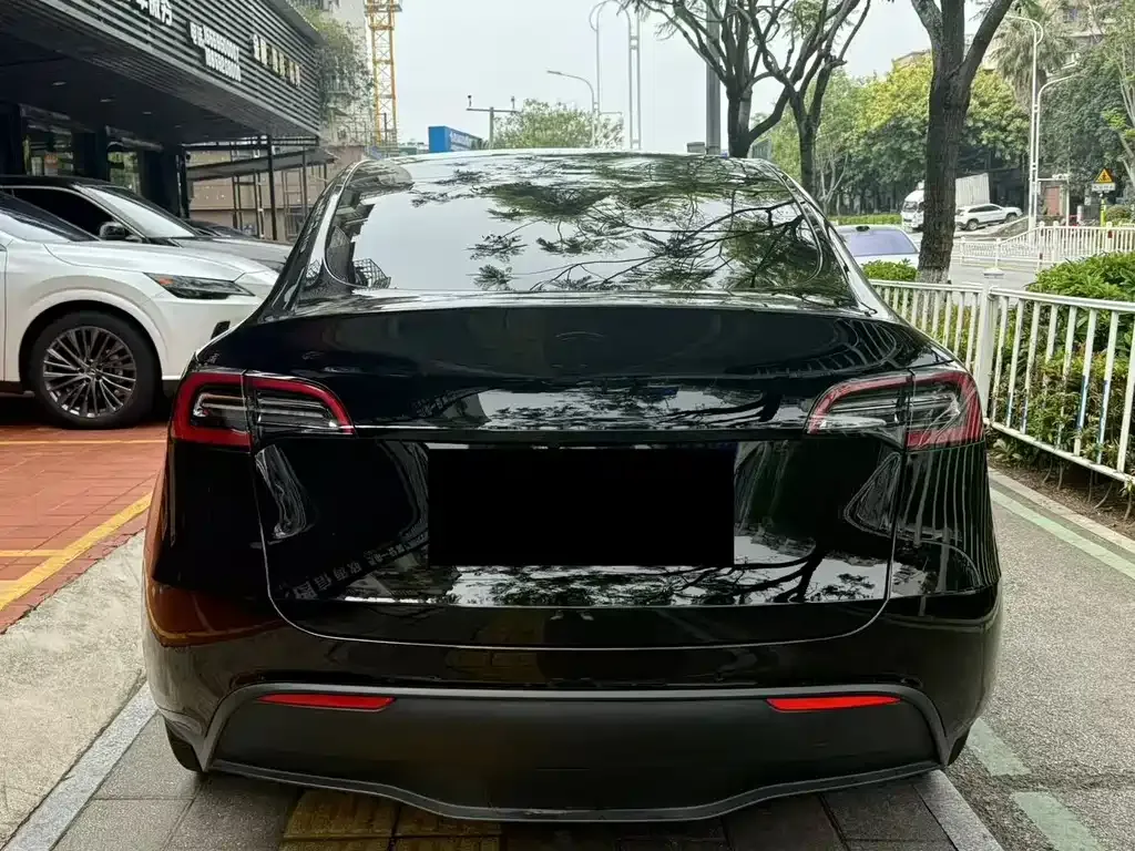 Tesla Model Y 2021 из CN, фото 7