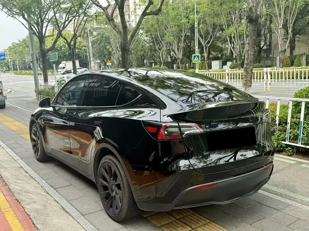 Tesla Model Y 2021 из CN, фото 8
