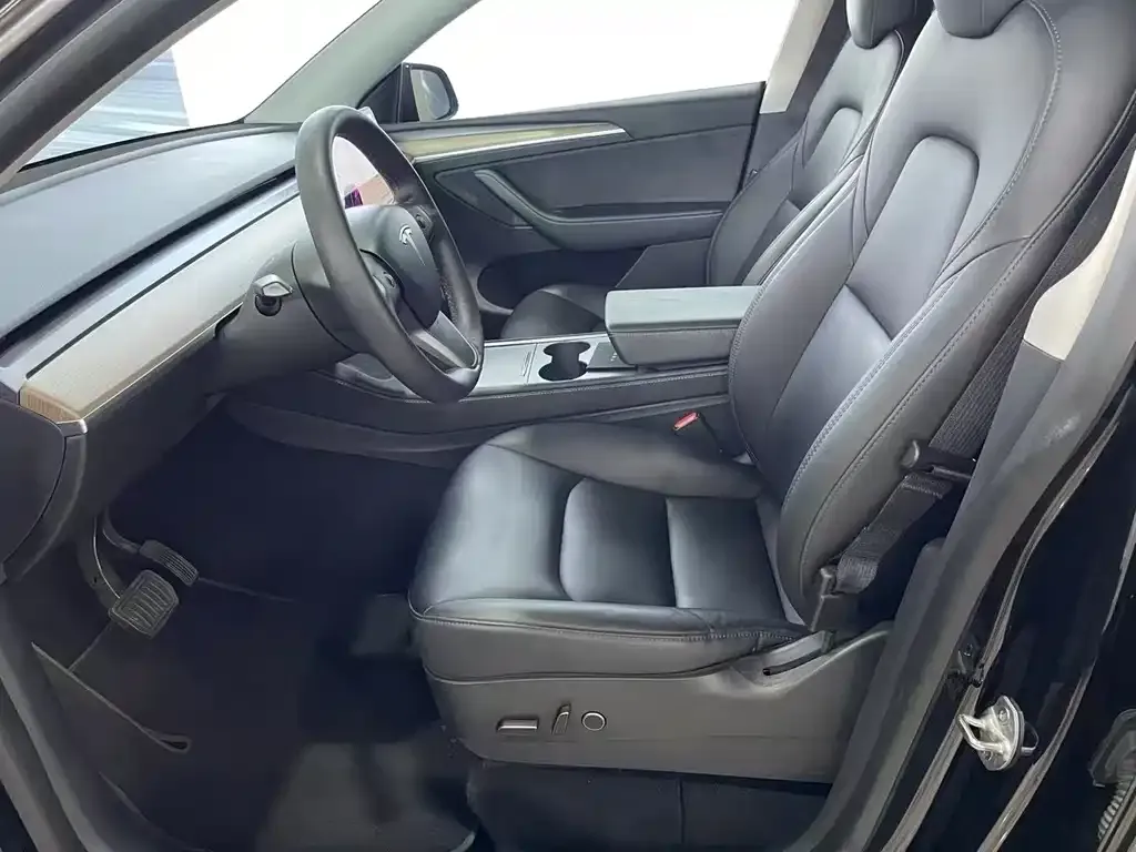 Tesla Model Y 2021 из CN, фото 4