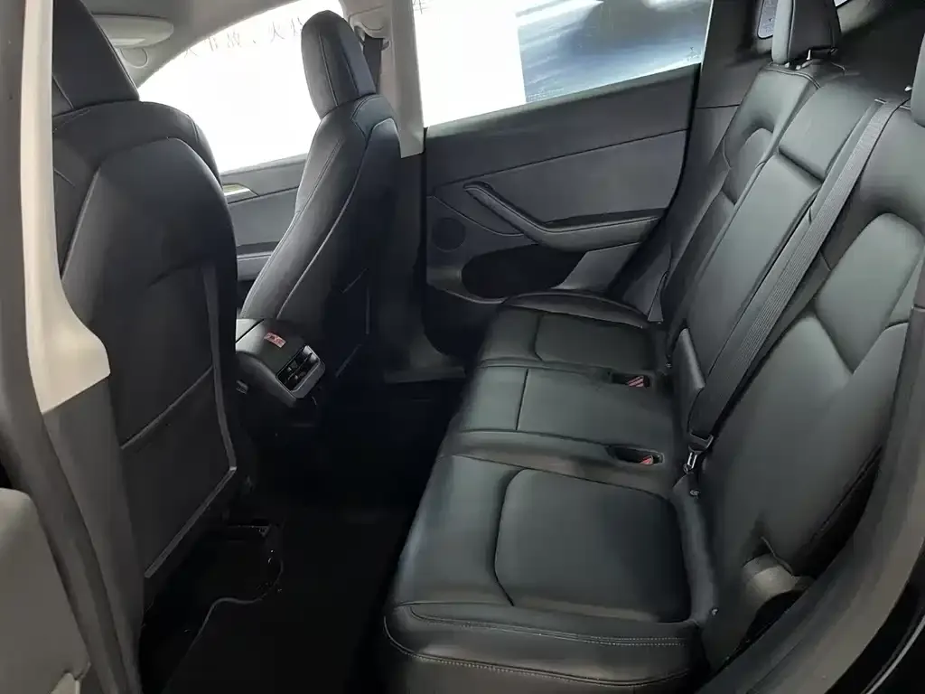 Tesla Model Y 2021 из CN, фото 3
