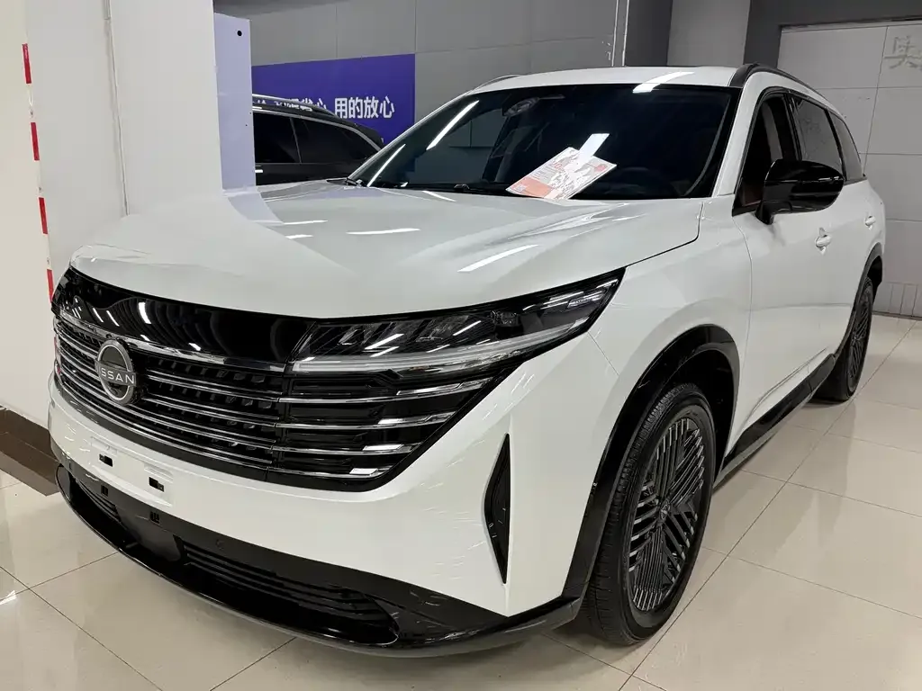 Nissan Teramont 2024 из CN, фото 1