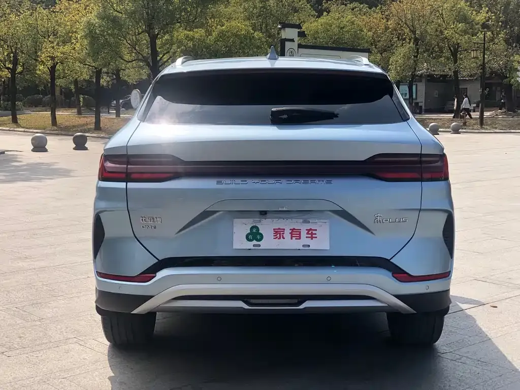 BYD PLUS New Energy 2023 из CN, фото 4