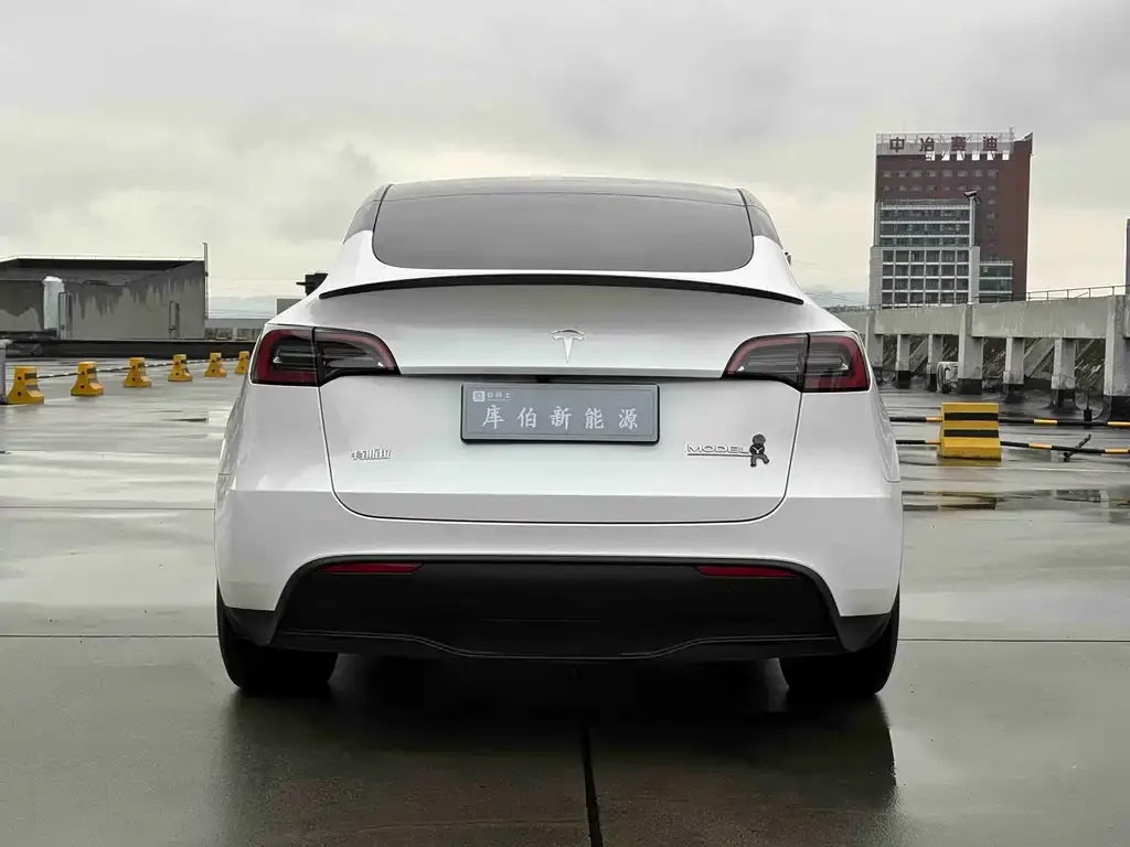 Tesla Model Y 2024 из CN, фото 2