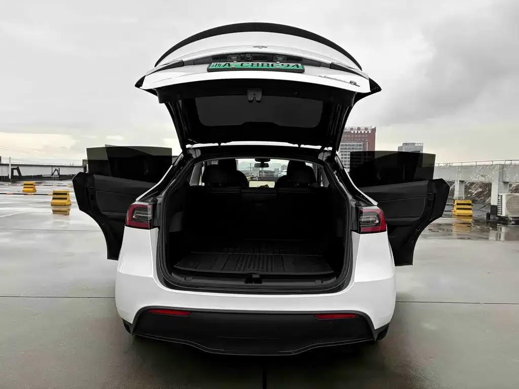 Tesla Model Y 2024 из CN, фото 6