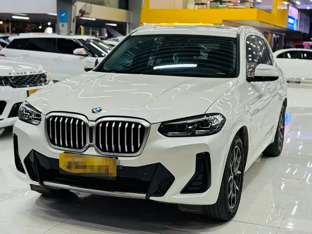 BMW X3 — фото 1