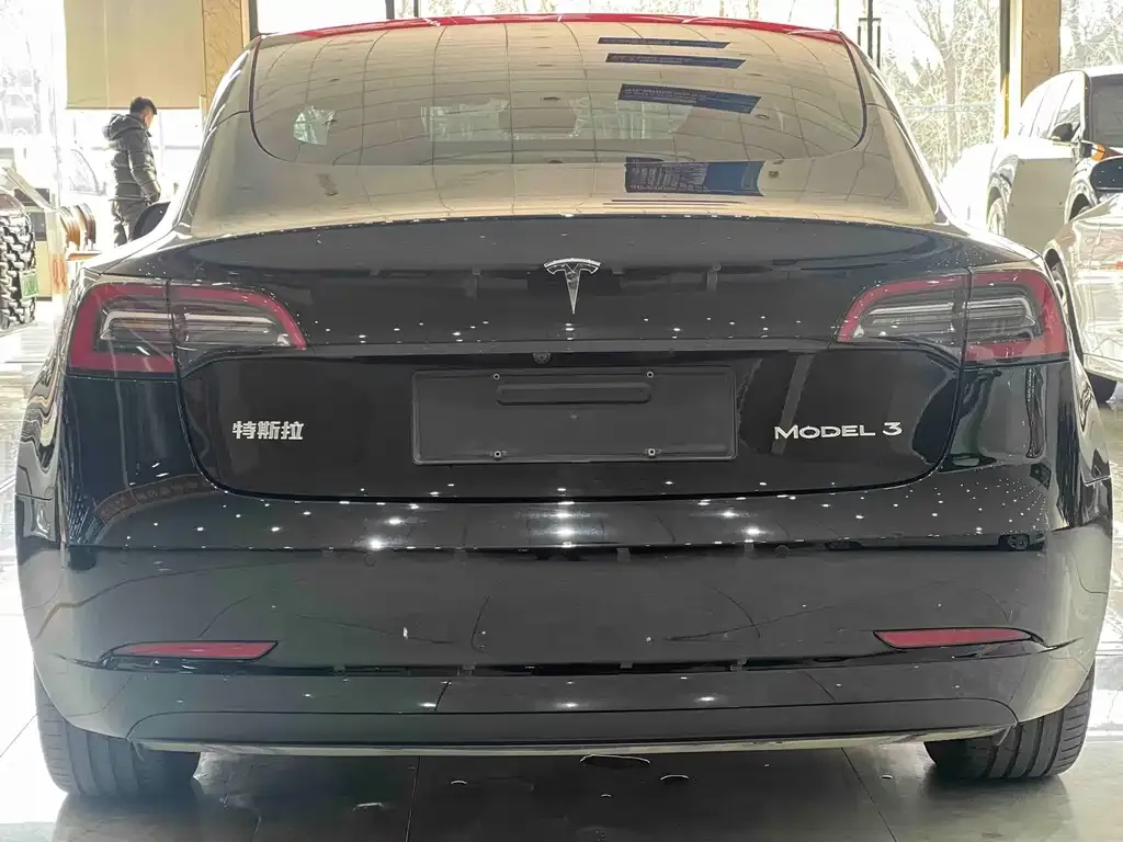Tesla Model 3 2022 из CN, фото 9