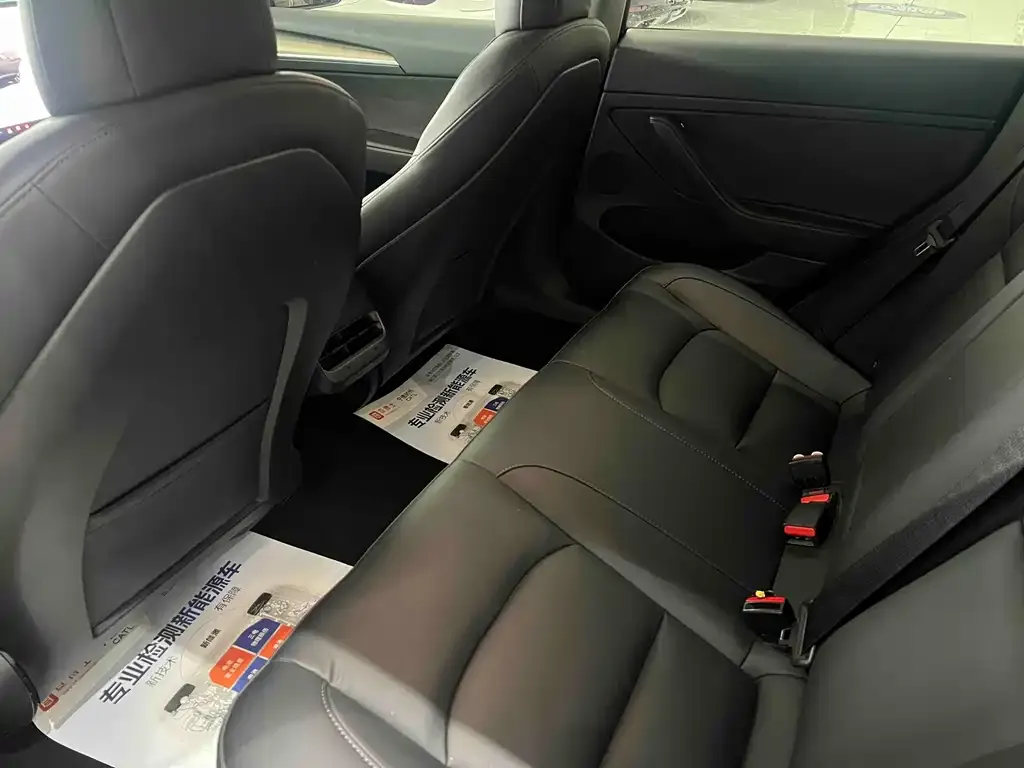 Tesla Model 3 2022 из CN, фото 2