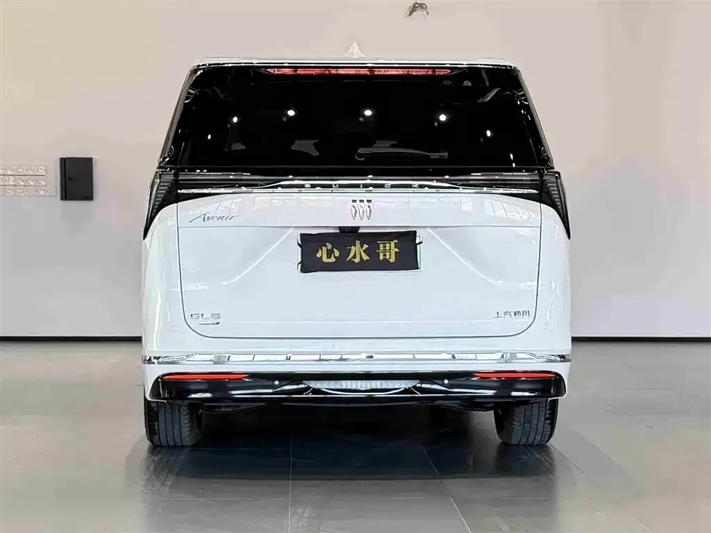 Buick GL8 Hybrid — фото 4