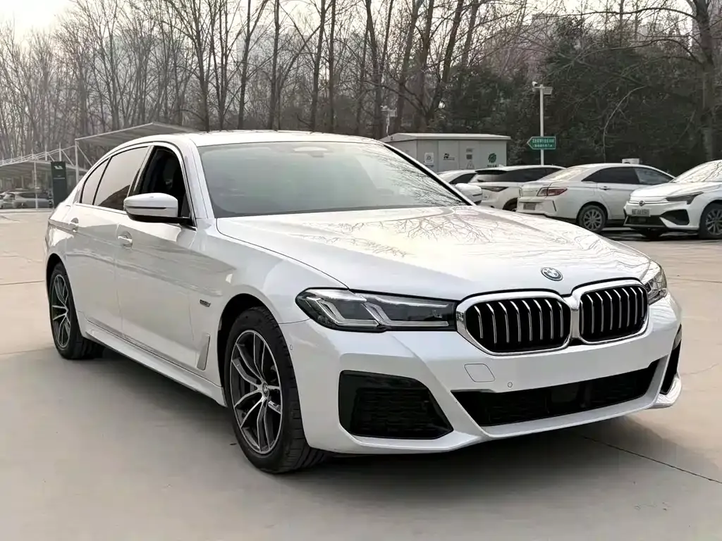 BMW 5 Series New Energy — фото 8