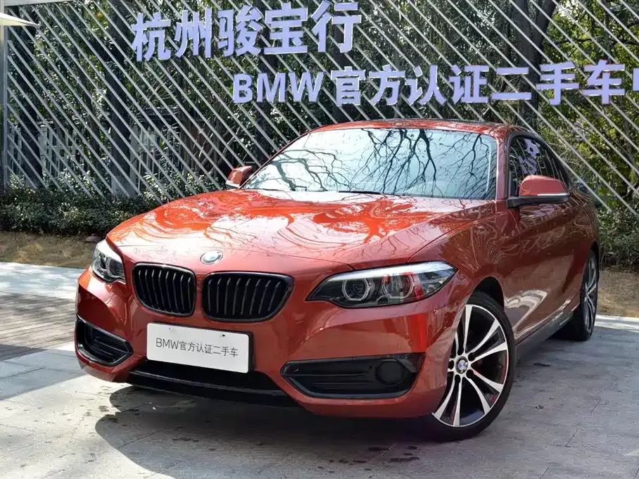 BMW 2 Series (Import) — фото 1