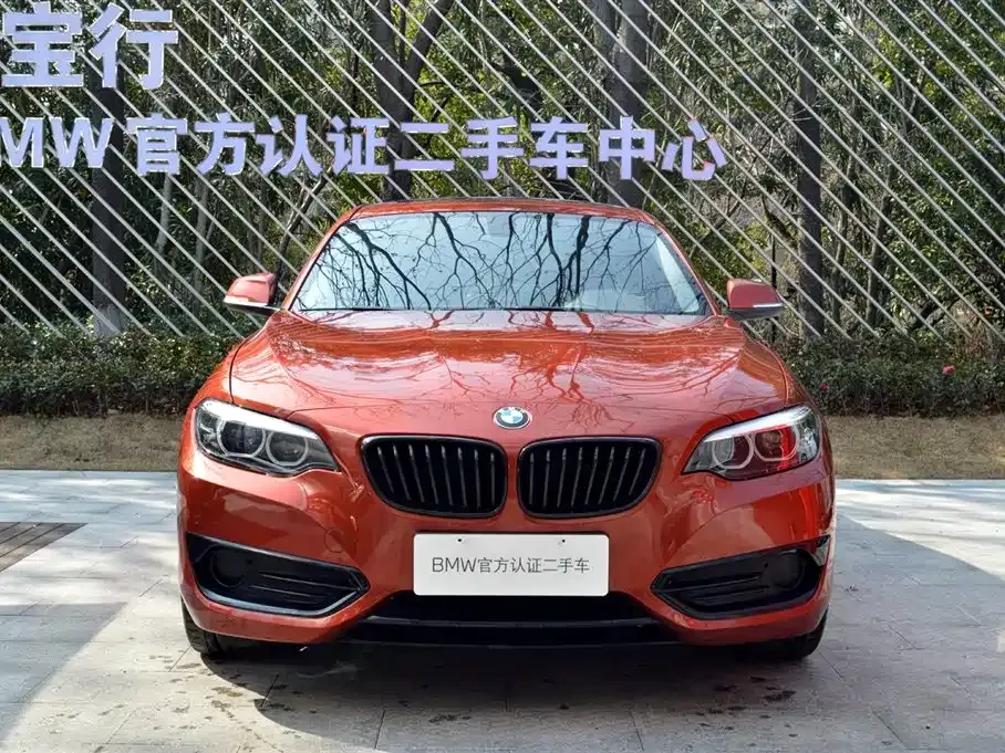 BMW 2 Series (Import) — фото 9