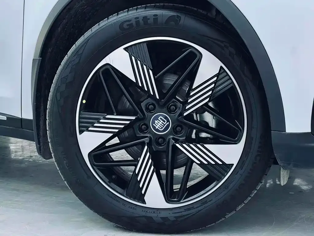 BYD Tang New Energy 2023 из CN, фото 5