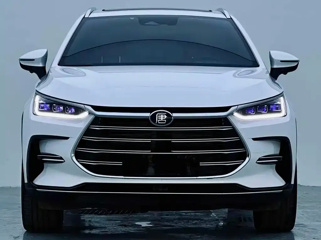 BYD Tang New Energy 2023 из CN, фото 6