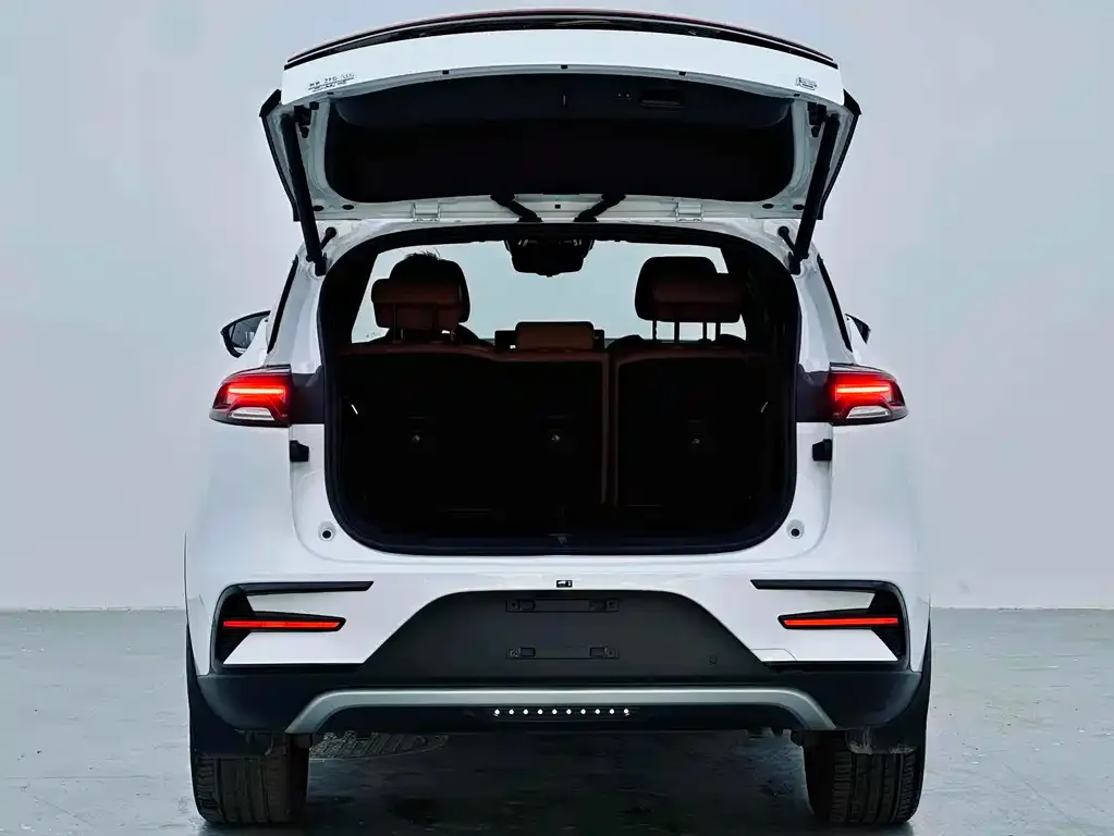 BYD Tang New Energy 2023 из CN, фото 2