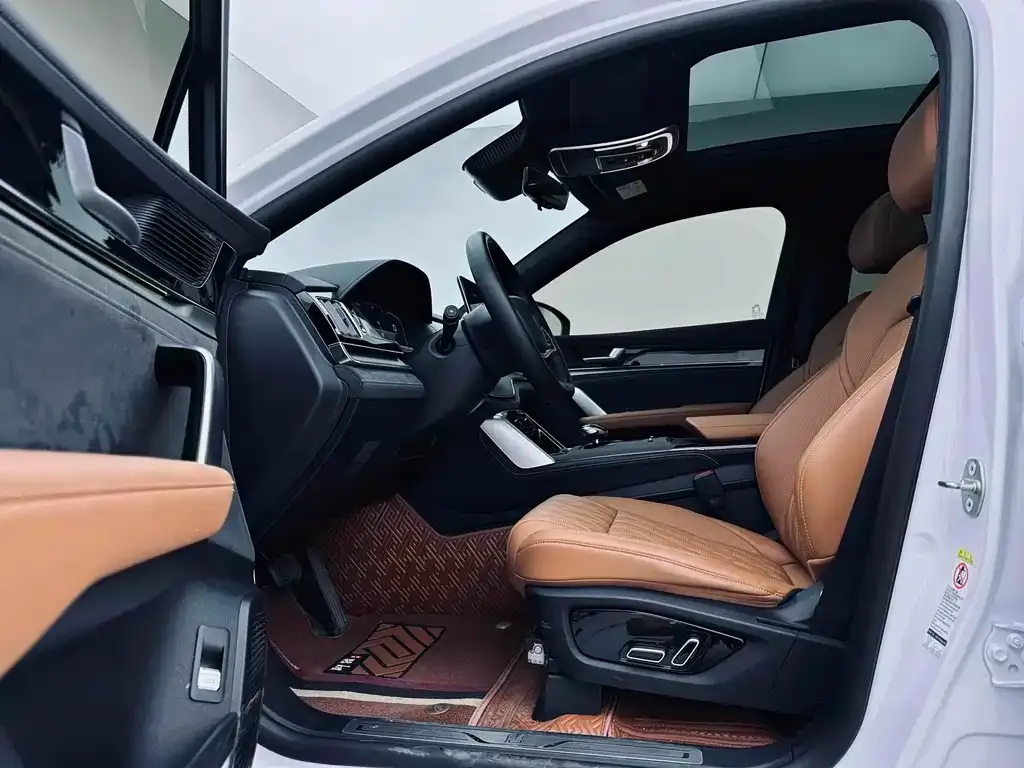 BYD Tang New Energy 2023 из CN, фото 10