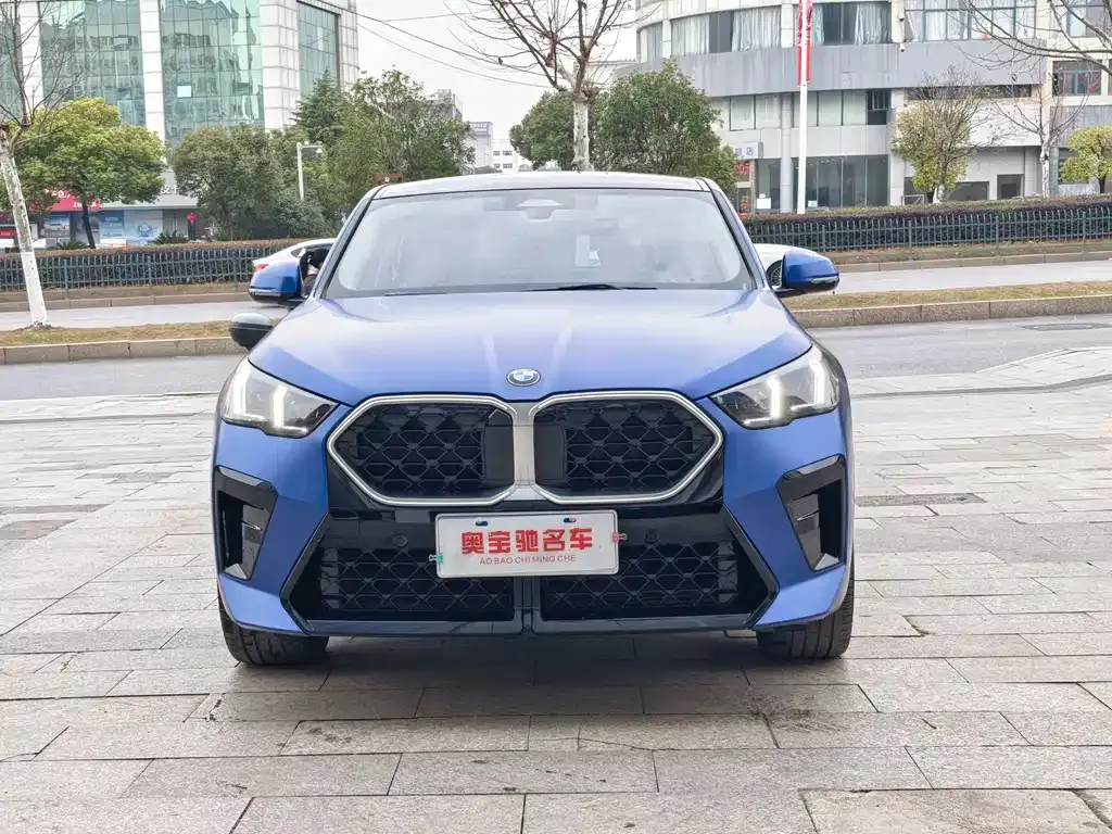 BMW X2 (Import) 2024 из CN, фото 6