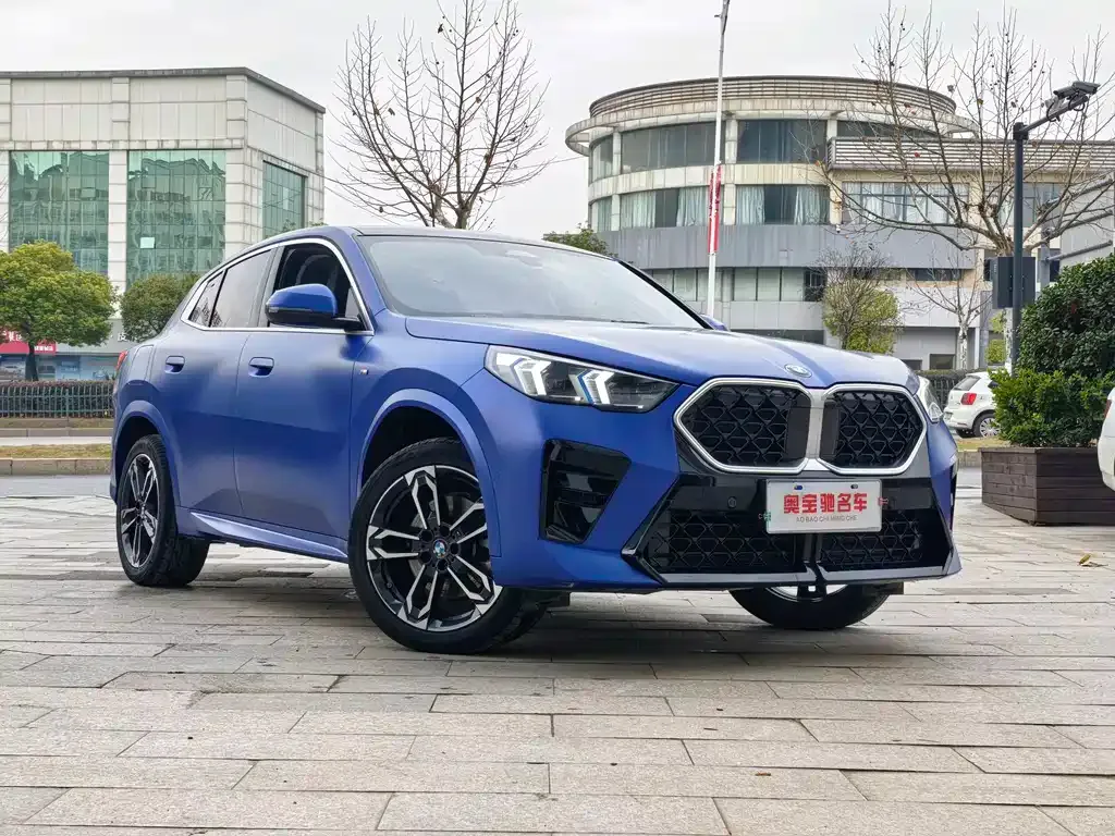 BMW X2 (Import) 2024 из CN, фото 5