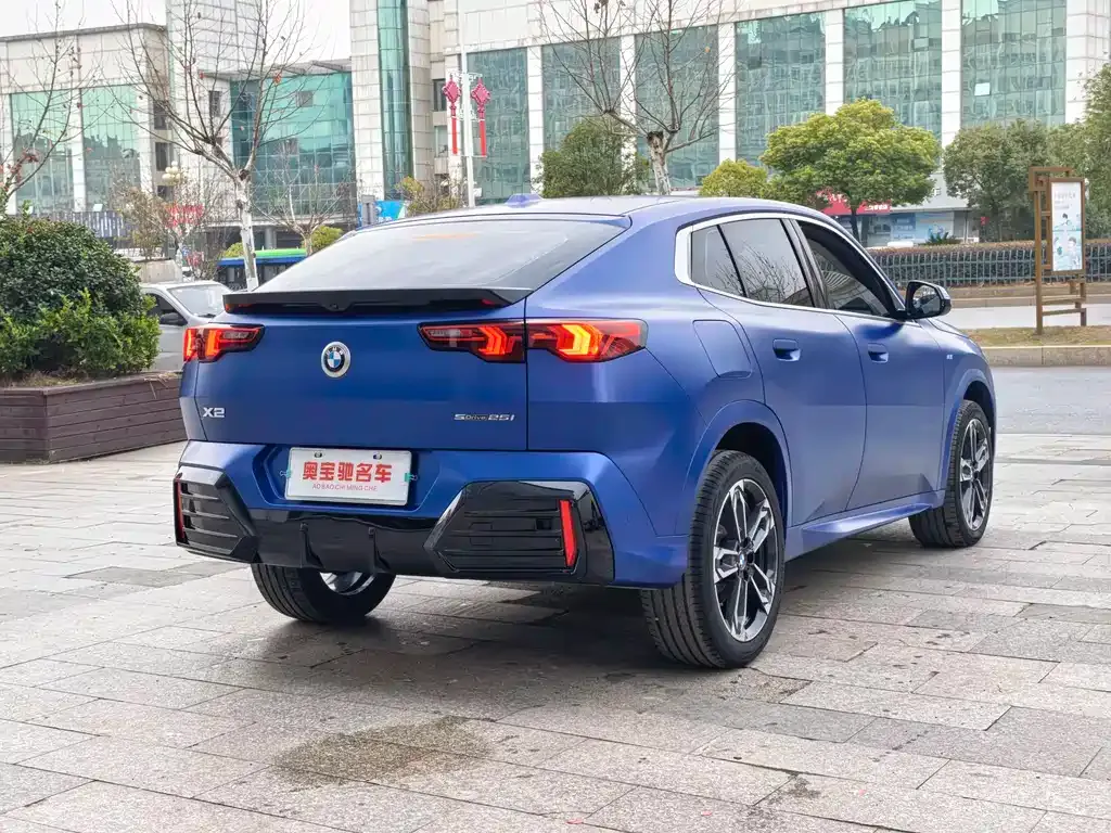 BMW X2 (Import) 2024 из CN, фото 9
