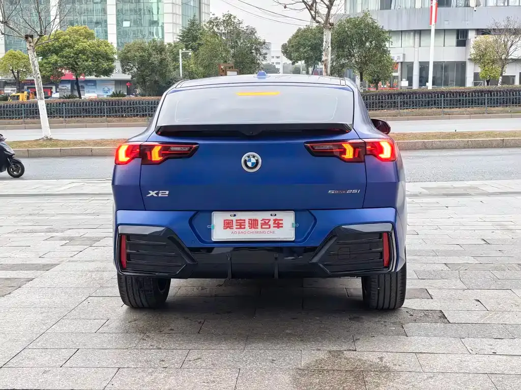 BMW X2 (Import) 2024 из CN, фото 8