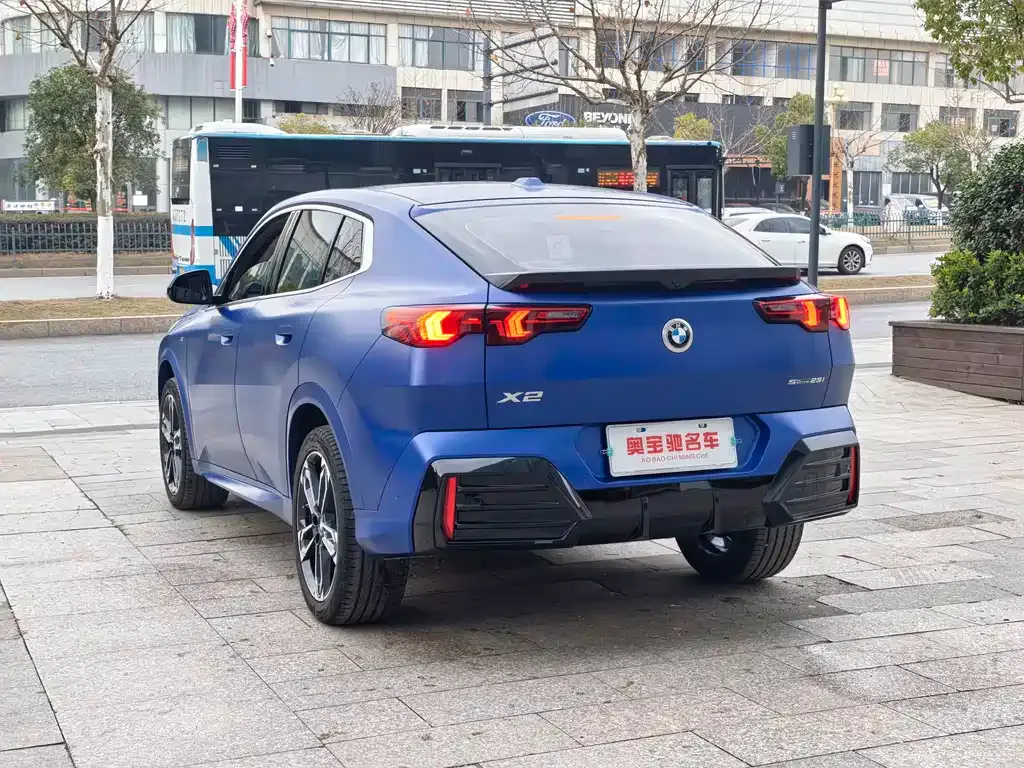 BMW X2 (Import) 2024 из CN, фото 10