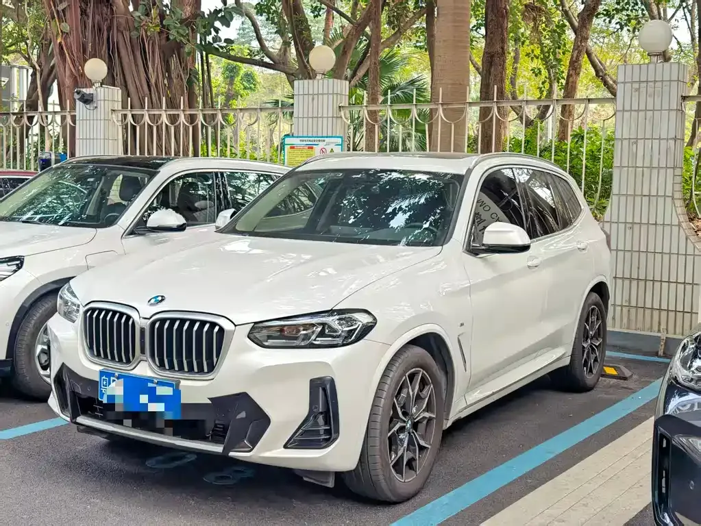 BMW X3 — фото 1