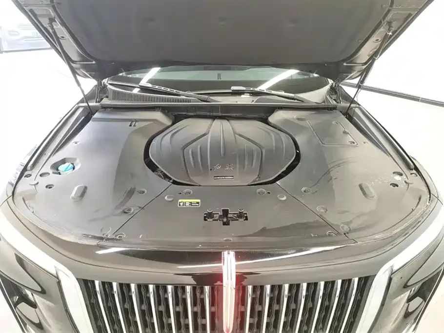 Hongqi H9 2022 из CN, фото 10