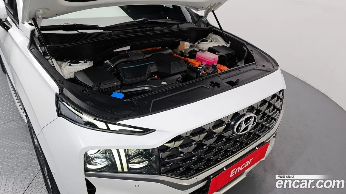 Hyundai Santafe 2022 из KR, фото 6
