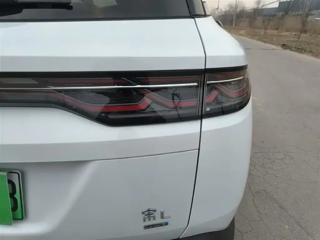 BYD L DM-i 2025 из CN, фото 2