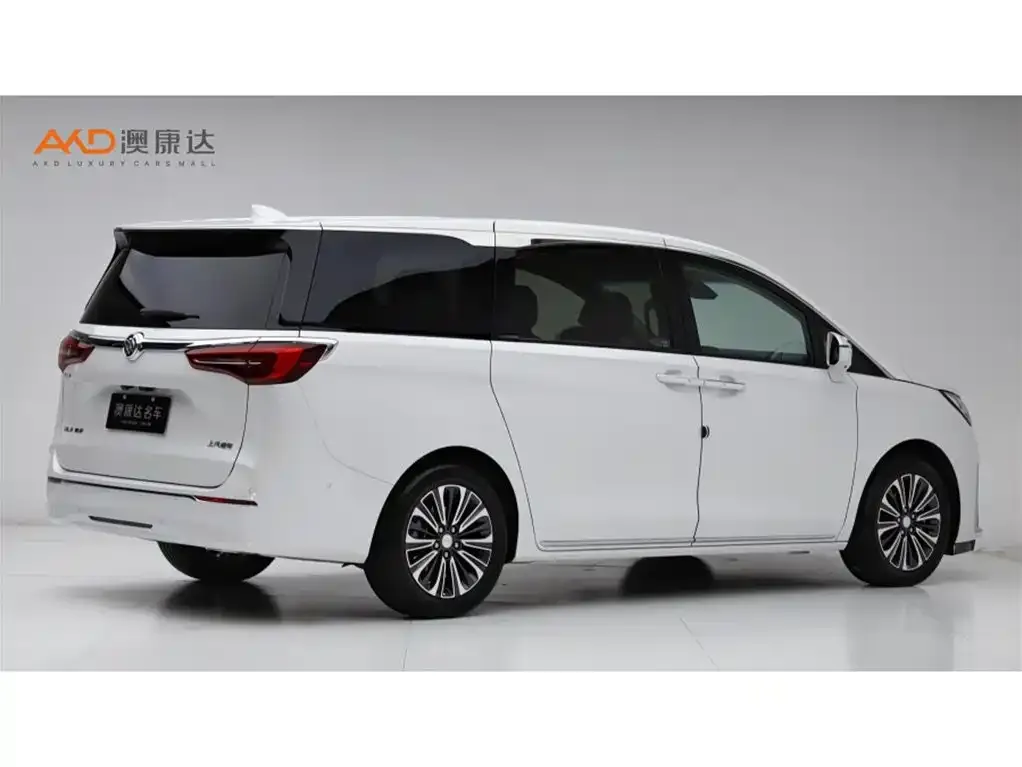 Buick GL8 2023 из CN, фото 8