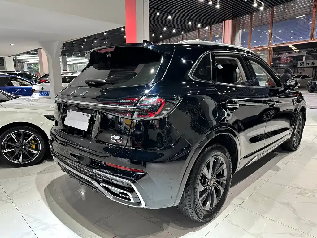 Hongqi HS5 2024 из CN, фото 7