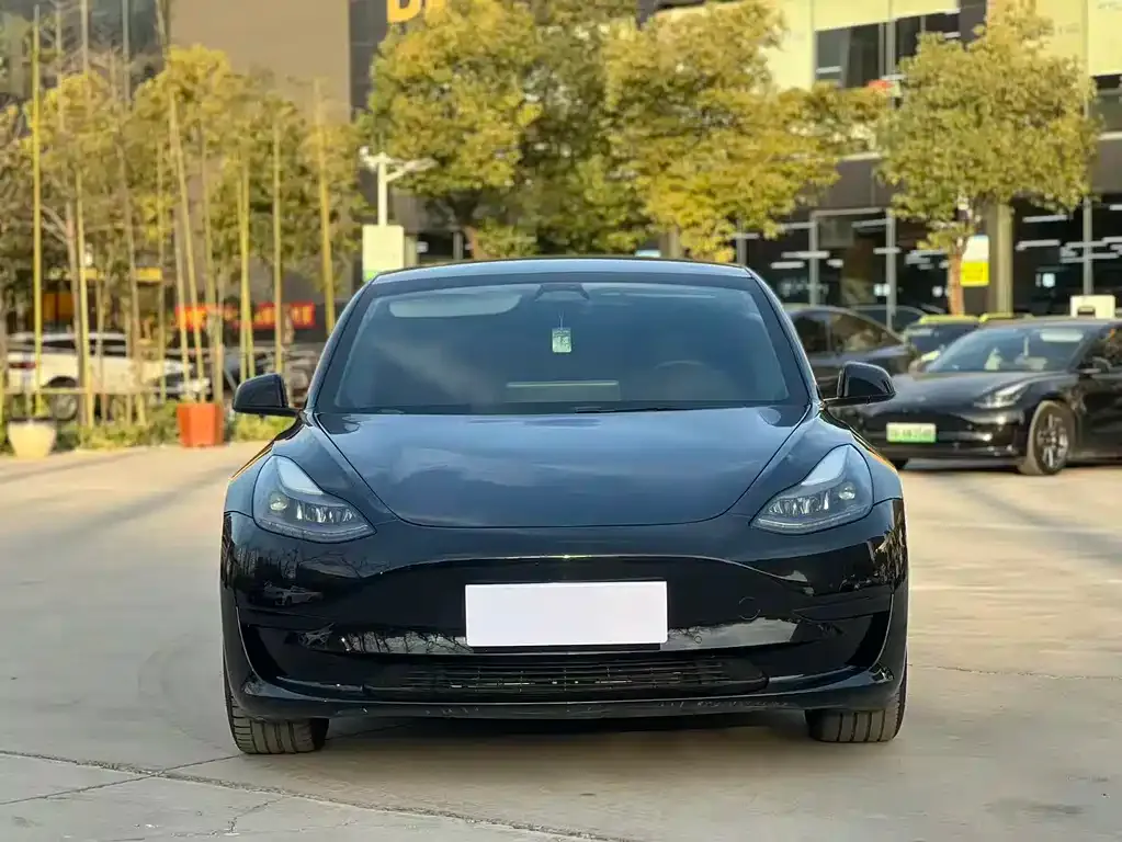 Tesla Model 3 2023 из CN, фото 3