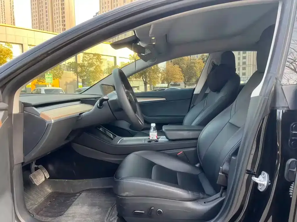 Tesla Model 3 2023 из CN, фото 2