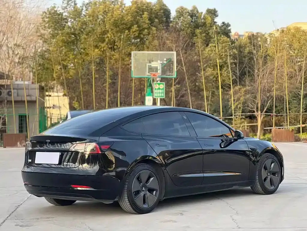 Tesla Model 3 2023 из CN, фото 9