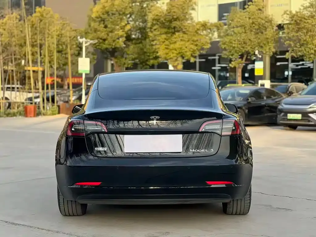 Tesla Model 3 2023 из CN, фото 7