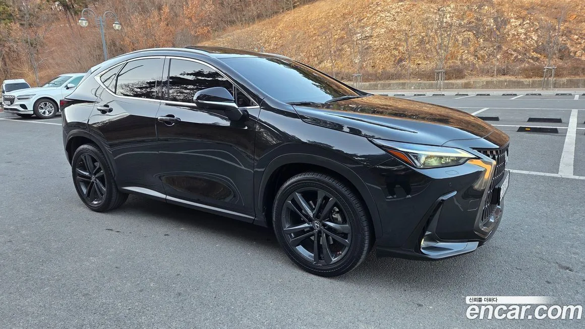 Lexus NX 2023 из KR, фото 8