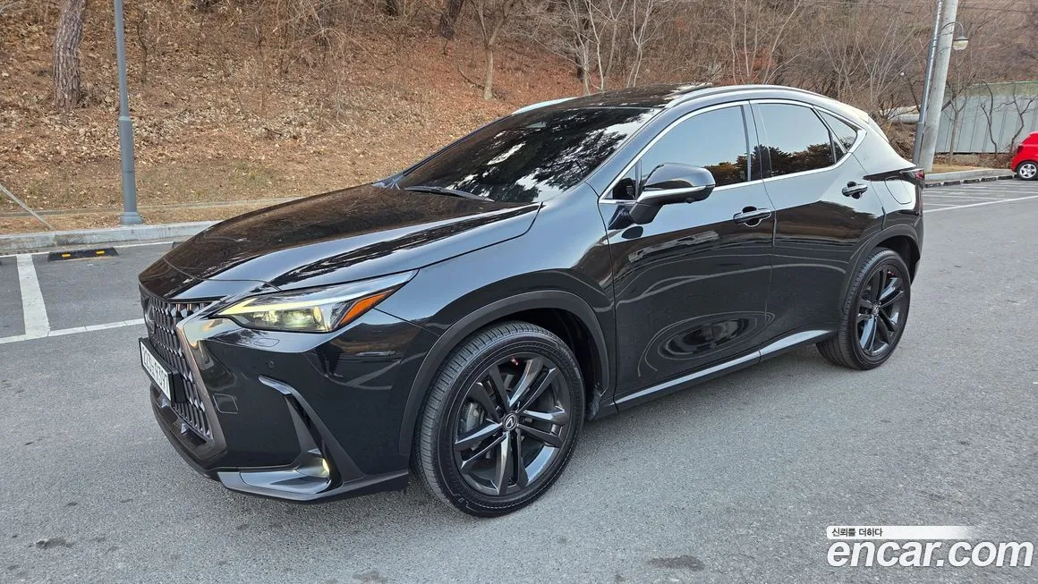 Lexus NX 2023 из KR, фото 10