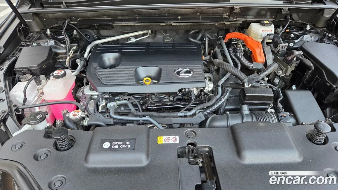 Lexus NX 2023 из KR, фото 4