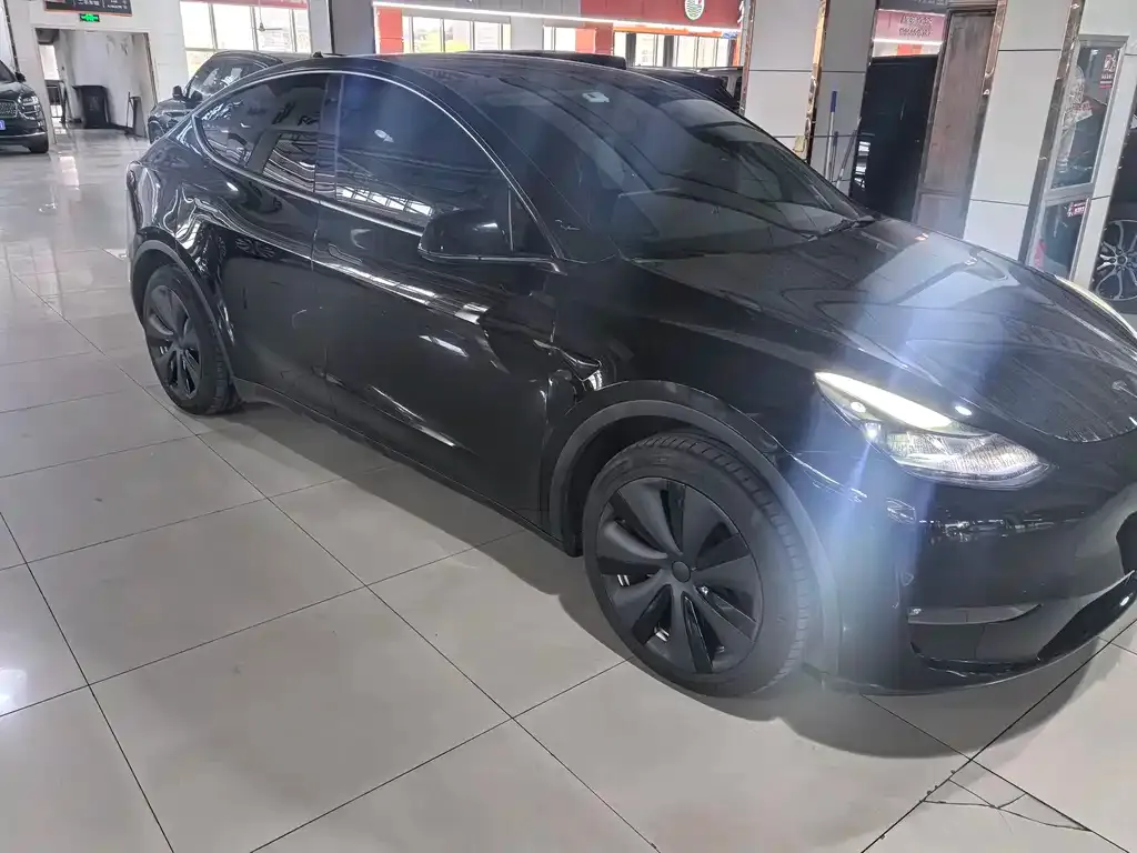 Tesla Model Y 2023 из CN, фото 6