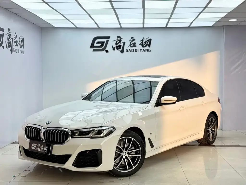 BMW 5 Series (Import) — фото 1