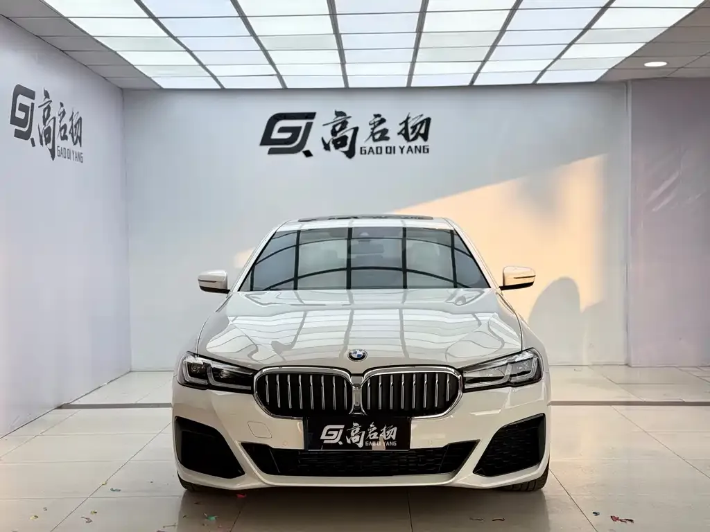 BMW 5 Series (Import) — фото 3